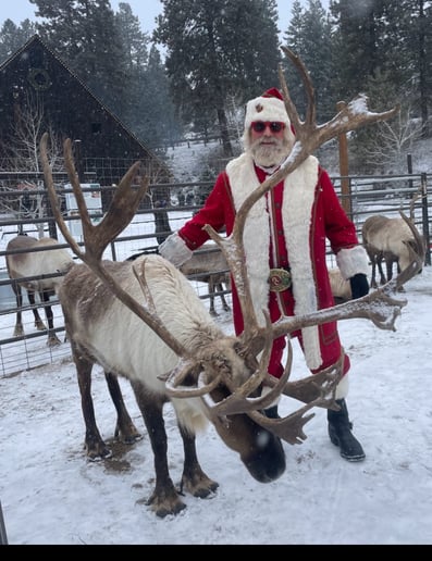 Gallery photo 2 of Santa Roger