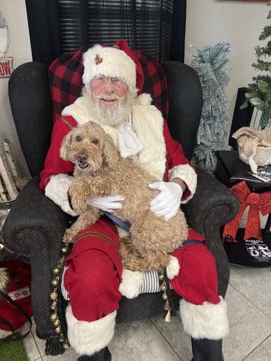 Gallery photo 8 of Santa Roger