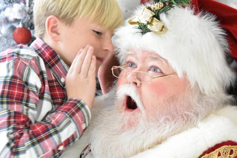 Gallery photo 10 of Santa Ron