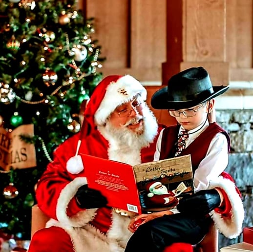 Gallery photo 2 of Santa Ron Bronson