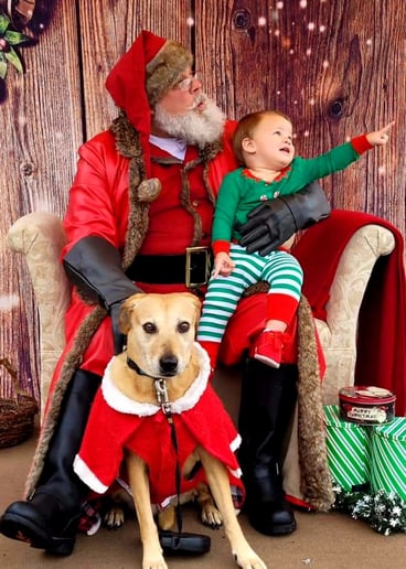 Gallery photo 3 of Santa Ron Bronson
