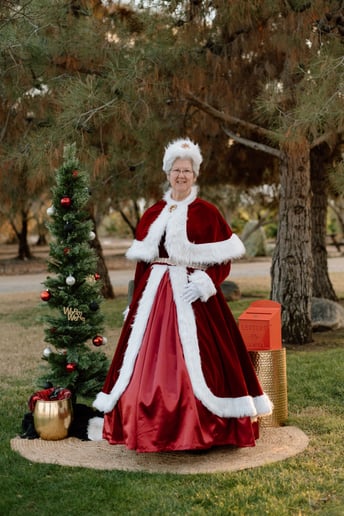 Gallery photo 1 of Santa Ron Gooler