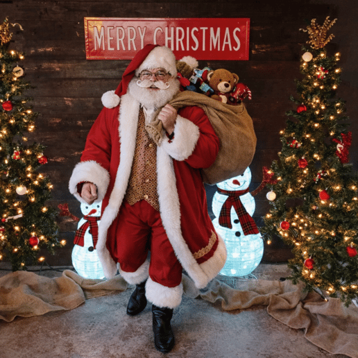 Gallery photo 5 of Santa Ron Gooler