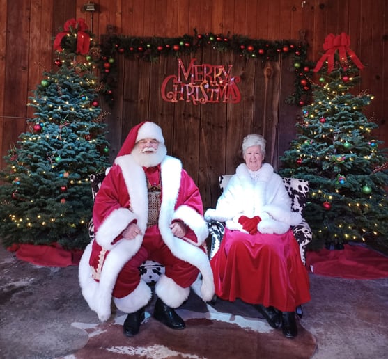 Gallery photo 10 of Santa Ron Gooler