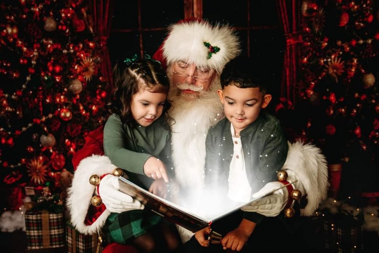 Gallery photo 6 of Santa Ron Jolly Elf