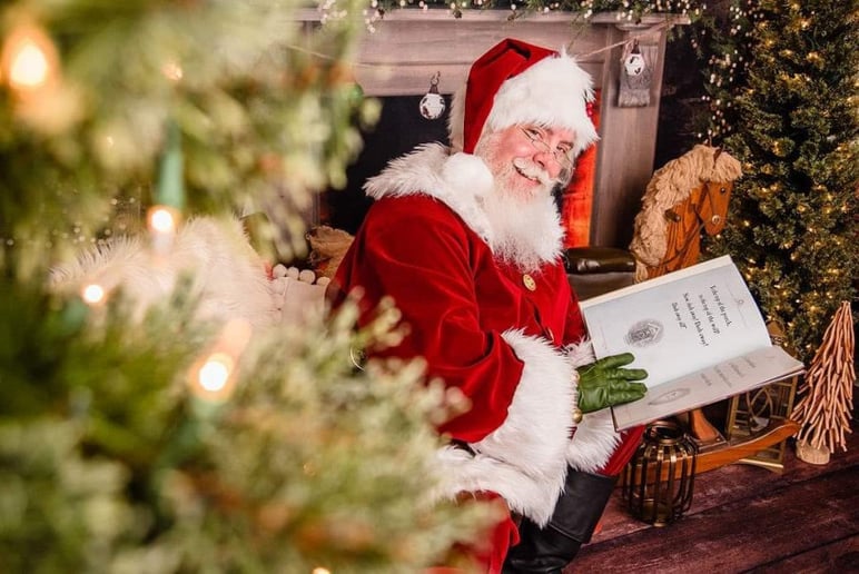 Gallery photo 5 of Santa Ron Jolly Elf