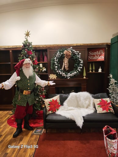 Gallery photo 2 of Santa Ron Jolly Elf