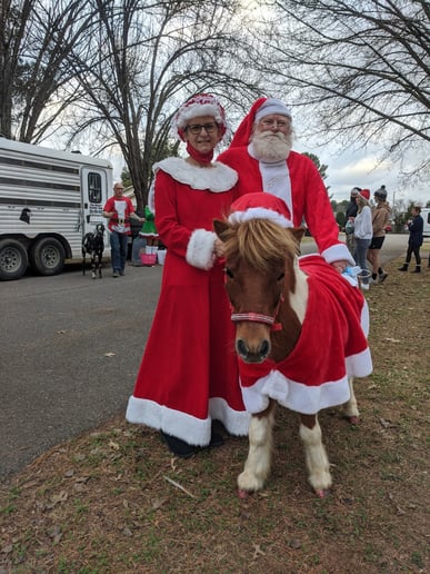 Gallery photo 2 of Santa Ron