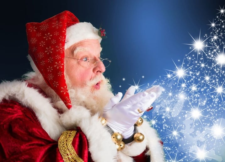 Gallery photo 1 of Santa Ron & Mrs. Claus