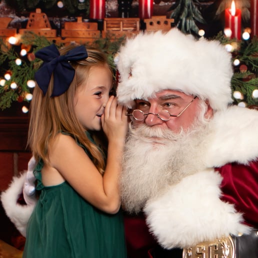 Gallery photo 1 of Santa Ron Forrest