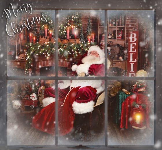 Gallery photo 10 of Santa Ron Forrest