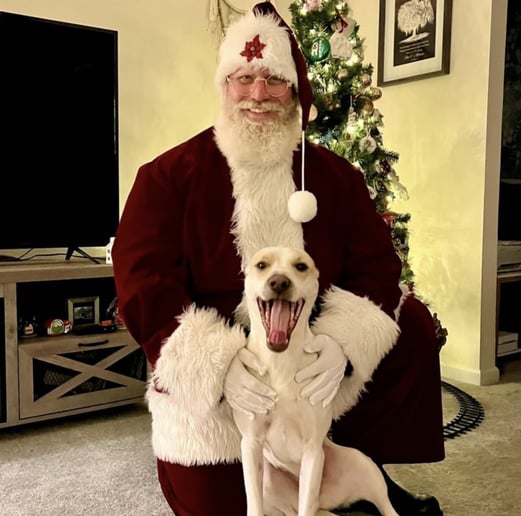 Gallery photo 1 of Santa Ron