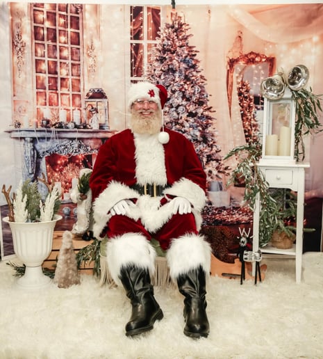 Gallery photo 4 of Santa Ron