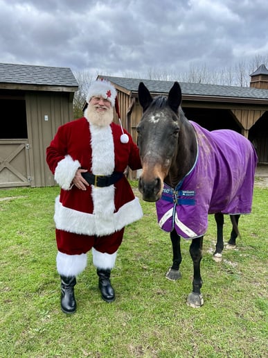 Gallery photo 6 of Santa Ron