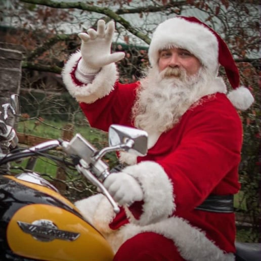 Gallery photo 7 of Santa Rusty