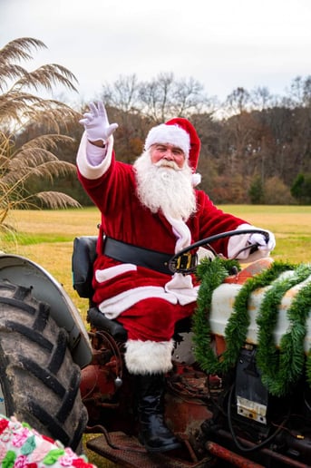 Gallery photo 8 of Santa Rusty