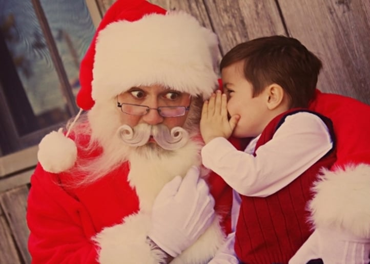 Gallery photo 2 of Santa Ryan