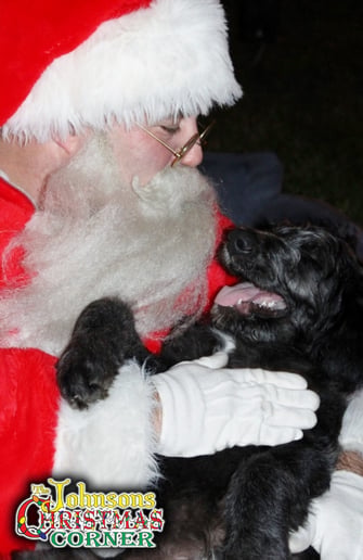Gallery photo 7 of Santa Ryan