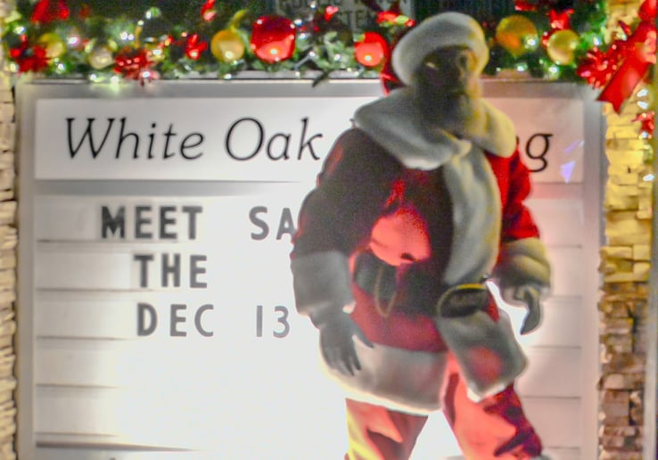 Gallery photo 7 of Santa Ryan
