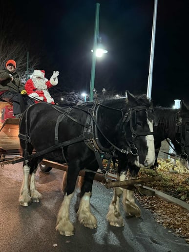 Gallery photo 10 of Santa Ryan NNY
