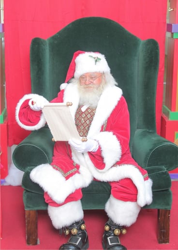 Gallery photo 8 of Santa Sam Claus