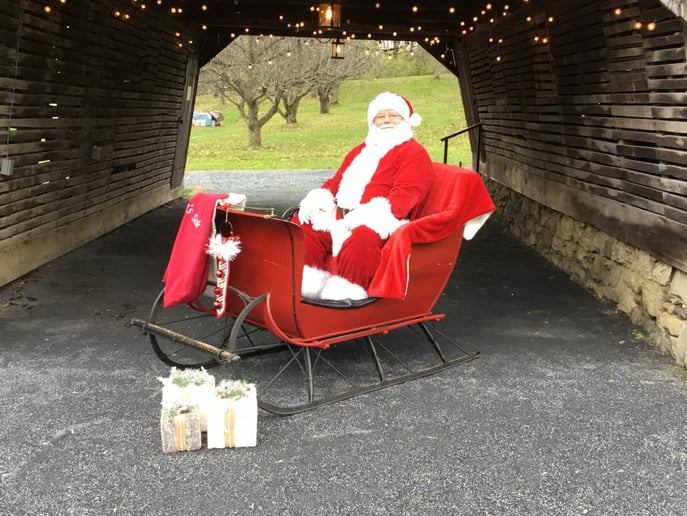 Gallery photo 2 of Santa Sac