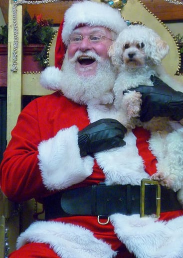 Gallery photo 5 of Santa Bob