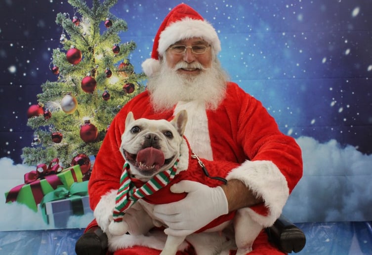 Gallery photo 10 of Fishing Santa