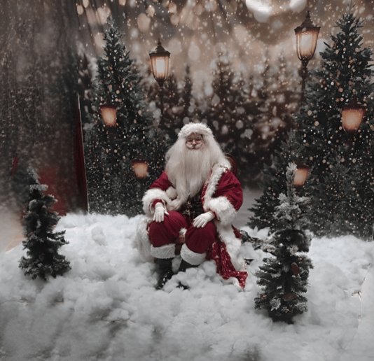Gallery photo 6 of Santa Aron