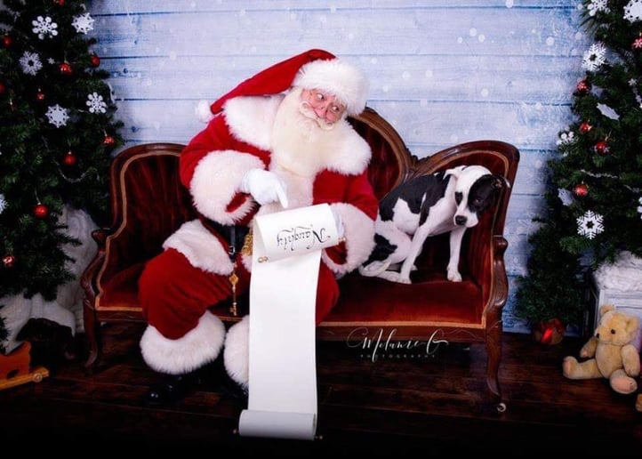 Gallery photo 8 of Santa Schmatz
