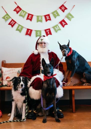 Gallery photo 5 of Santa Scott Claus