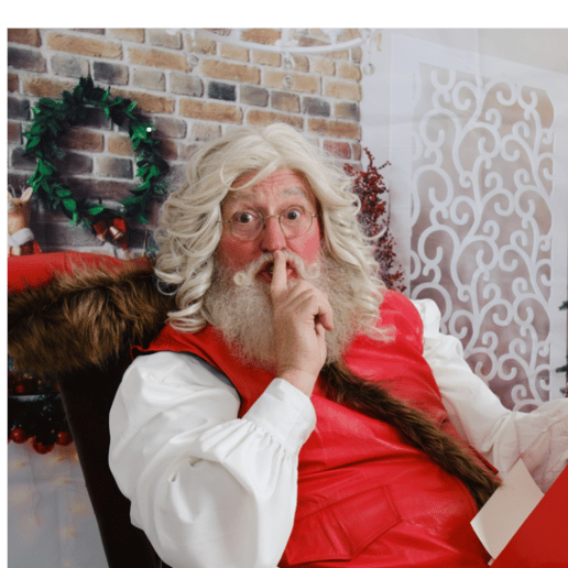 Gallery photo 1 of Santa Scott
