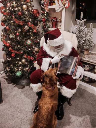 Gallery photo 4 of Aggieland Santa