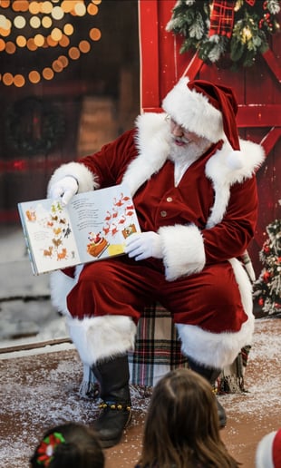 Gallery photo 6 of Santa Scott CT