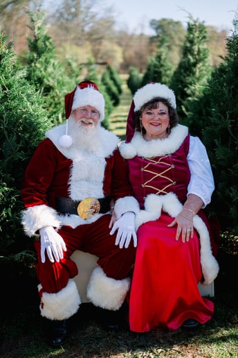 Gallery photo 10 of Santa Scott