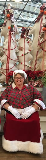 Gallery photo 3 of Tutu Claus