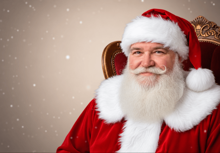 Gallery photo 6 of Santa Scott Indy