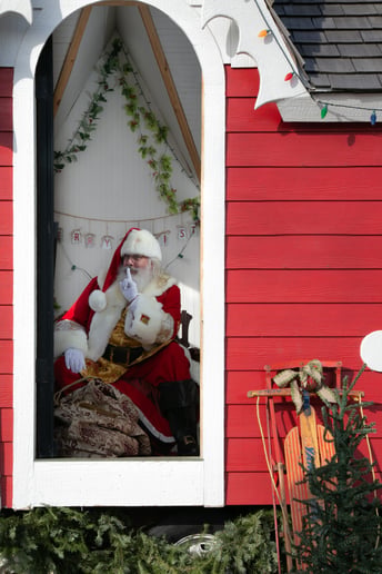 Gallery photo 9 of Santa Scott