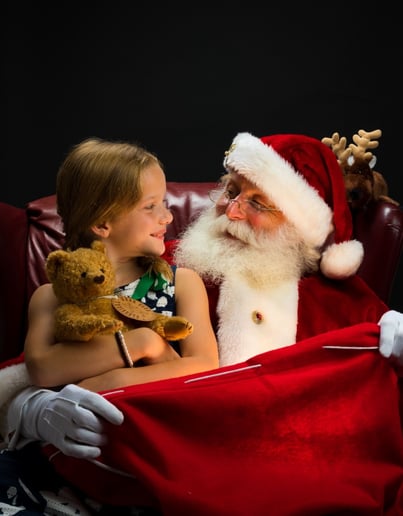 Gallery photo 2 of Santa Selfies