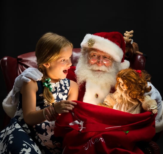 Gallery photo 4 of Santa Selfies