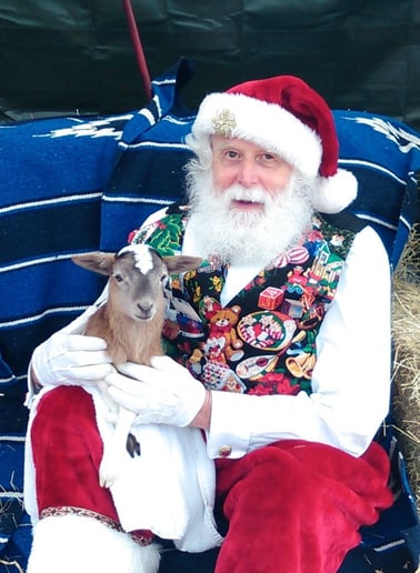 Gallery photo 5 of Santa Selfies