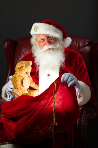 Gallery photo 9 of Santa Selfies