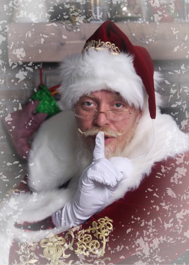 Gallery photo 6 of Santa Shannon