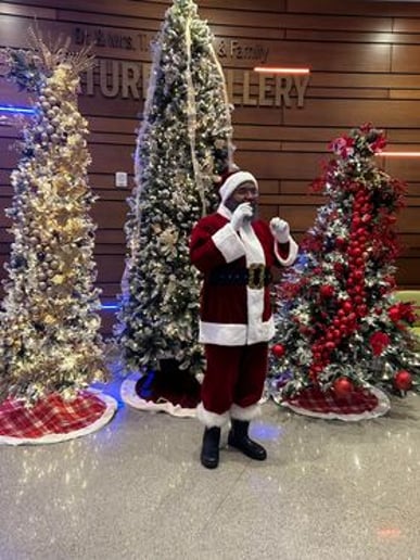 Gallery photo 8 of Santa Shed