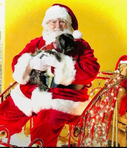 Gallery photo 1 of Santa Skip