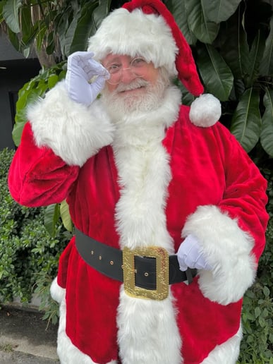 Gallery photo 4 of Santa Skip