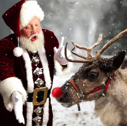 Gallery photo 1 of Santa Skip