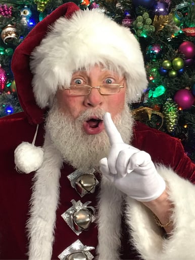 Gallery photo 3 of Santa Skip