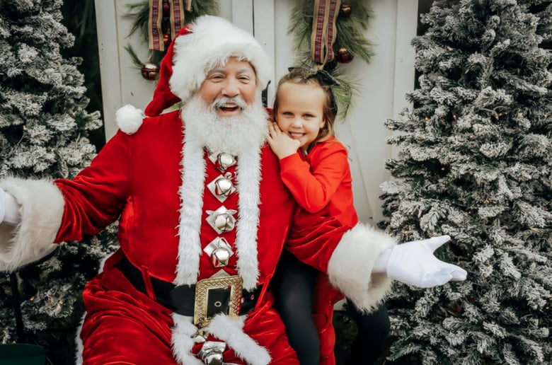 Gallery photo 5 of Santa Skip