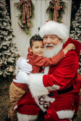 Gallery photo 6 of Santa Skip